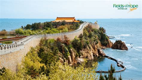 ¡Sumérgete en la Historia y la Naturaleza en el Templo de Chengshan!