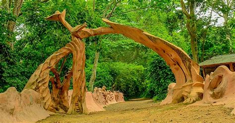 ¡Descubre la magia ancestral de Osun-Osogbo Sacred Grove, un santuario de naturaleza y espiritualidad!