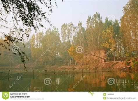  ¡Sumérgete en la Historia y la Naturaleza en el Parque Arqueológico de Donglin Lake!