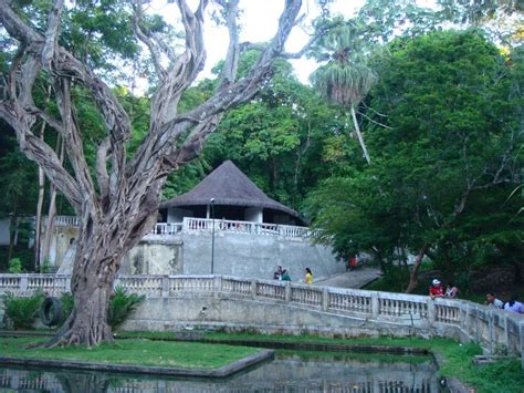 ¡Sumérgete en la Historia y la Naturaleza con el Jardín Botánico de Joao Pessoa!