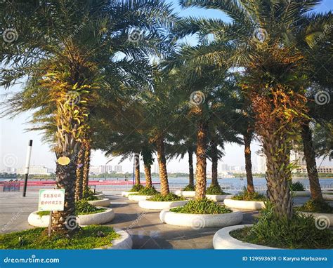 ¡Sumérgete en la historia y la belleza natural del Parque Shiliuhong! Un oasis de tranquilidad en el corazón palpitante de Qinzhou.