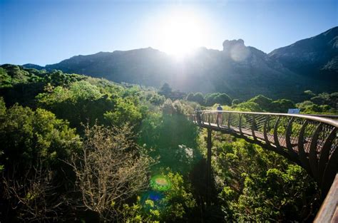 ¡Sumérgete en la magia de las aguas cristalinas del Kirstenbosch National Botanical Garden! Un paraíso botánico lleno de color y vida.