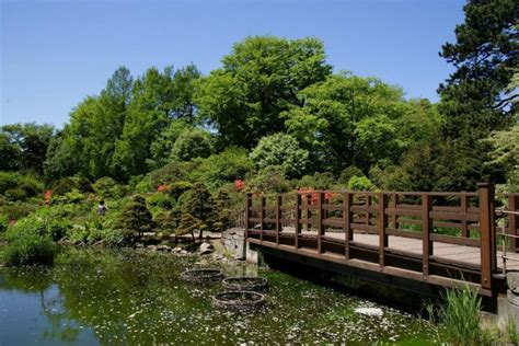 ¡Sumérgete en la belleza zen del Jardín Botánico de Sapporo! Un oasis de tranquilidad y diversidad floral en el corazón urbano