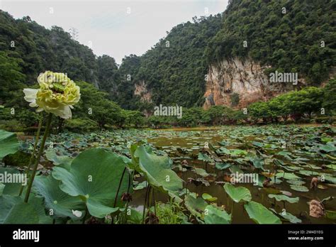  Kek Lok Tong: Una joya escondida en las colinas de Ipoh