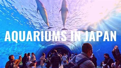 ¿Lista para una aventura submarina en el Acuario de Yokohama? Una experiencia inolvidable para amantes del mundo marino!