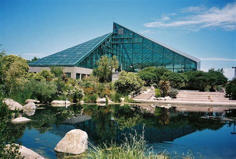 ¡El Jardín Botánico de Zona Zoo: Un Oasis Verde en el Corazón de Albuquerque!